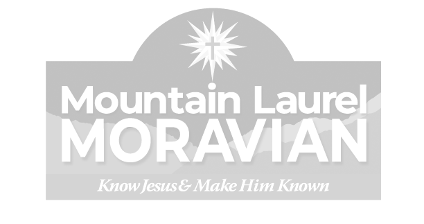 mountain-laurel-bw